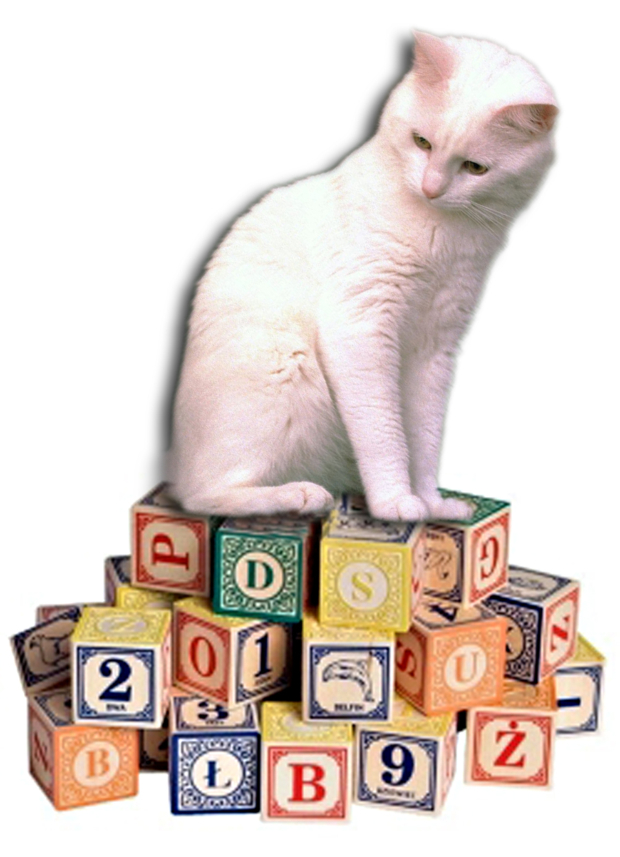 Cat With Blocks