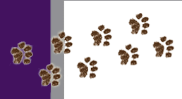 Foot Steps