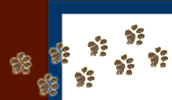 Feet